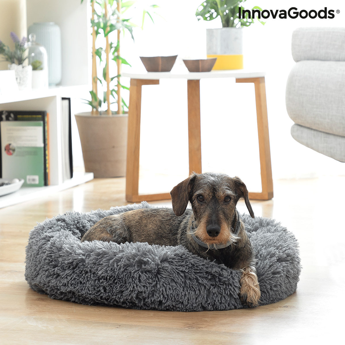 Cama anti-stress para animais de estimação Bepess InnovaGoods Ø 60 cm