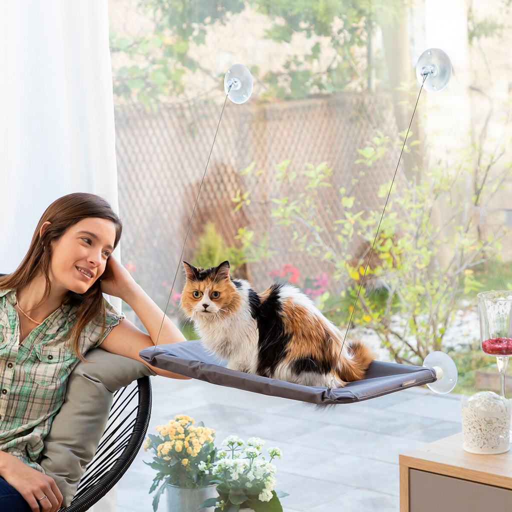 Rede suspensa para gatos